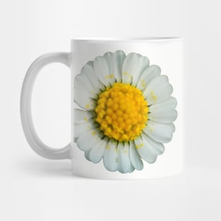 Big daisy Mug